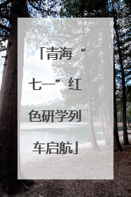 青海“七一”红色研学列车启航