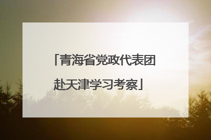 青海省党政代表团赴天津学习考察
