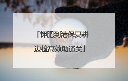 钾肥到港保夏耕 边检高效助通关