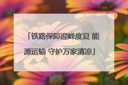 铁路保障迎峰度夏 能源运输 守护万家清凉