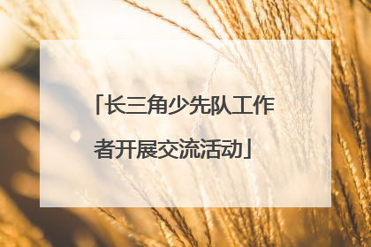 长三角少先队工作者开展交流活动