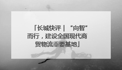 长城快评｜“向智”而行，建设全国现代商贸物流重要基地