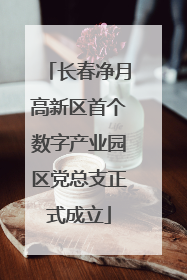 长春净月高新区首个数字产业园区党总支正式成立