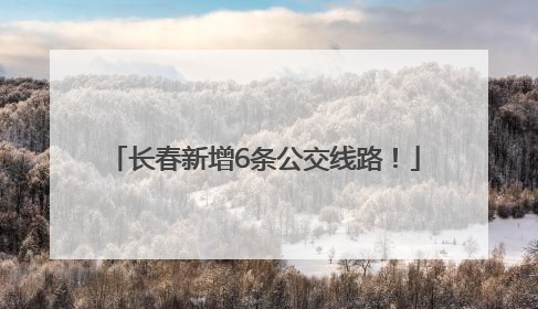 长春新增6条公交线路！