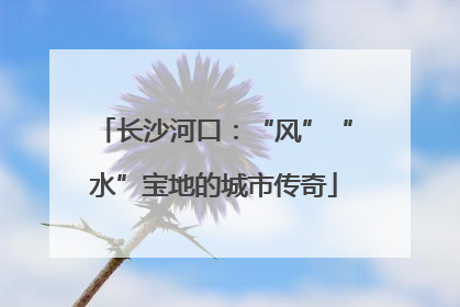 长沙河口：“风”“水”宝地的城市传奇