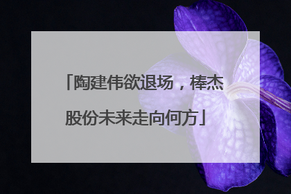 陶建伟欲退场，棒杰股份未来走向何方