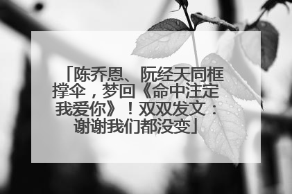陈乔恩、阮经天同框撑伞，梦回《命中注定我爱你》！双双发文：谢谢我们都没变