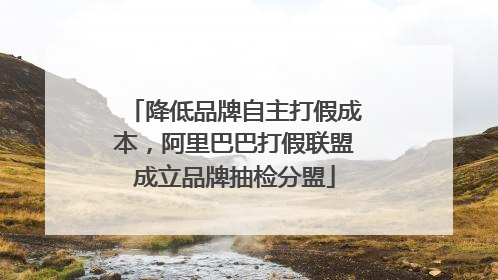 降低品牌自主打假成本，阿里巴巴打假联盟成立品牌抽检分盟