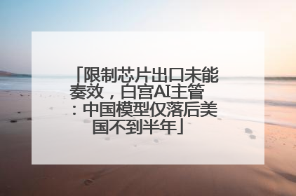 限制芯片出口未能奏效，白宫AI主管：中国模型仅落后美国不到半年