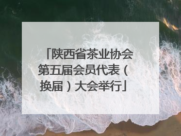 陕西省茶业协会第五届会员代表（换届）大会举行