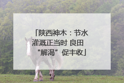 陕西神木：节水灌溉正当时 良田“解渴”促丰收