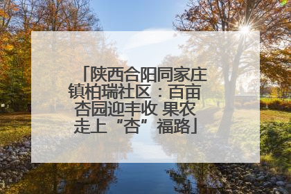 陕西合阳同家庄镇柏瑞社区：百亩杏园迎丰收 果农走上“杏”福路
