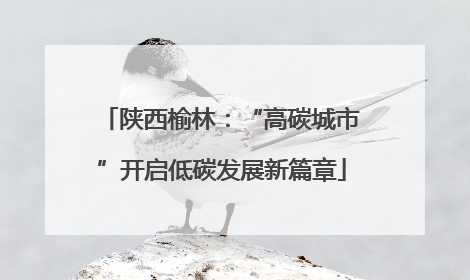 陕西榆林：“高碳城市”开启低碳发展新篇章