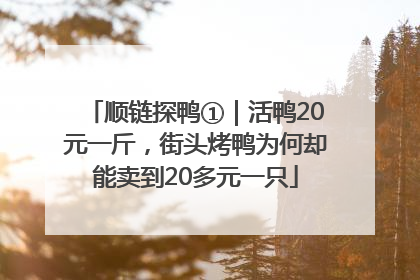 顺链探鸭①｜活鸭20元一斤，街头烤鸭为何却能卖到20多元一只