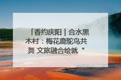 香约庆阳｜合水黑木村：梅花鹿鸵鸟共舞 文旅融合绘就“诗与远方”