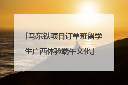 马东铁项目订单班留学生广西体验端午文化