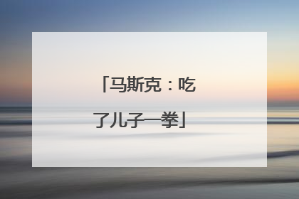 马斯克：吃了儿子一拳