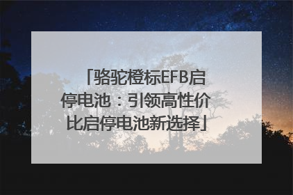骆驼橙标EFB启停电池：引领高性价比启停电池新选择