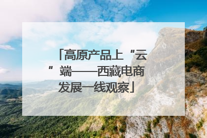 高原产品上“云”端——西藏电商发展一线观察