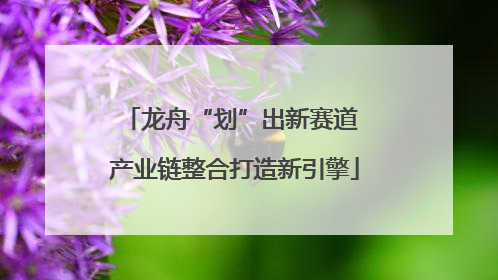 龙舟“划”出新赛道 产业链整合打造新引擎