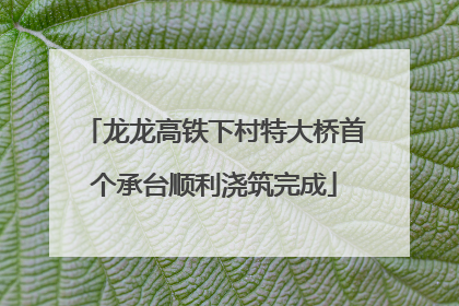 龙龙高铁下村特大桥首个承台顺利浇筑完成