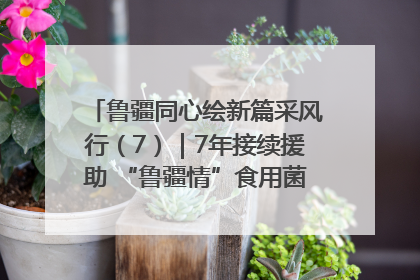 鲁疆同心绘新篇采风行（7）｜7年接续援助 “鲁疆情”食用菌从1.0走向4.0