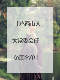 鸡西市人大常委会任免职名单
