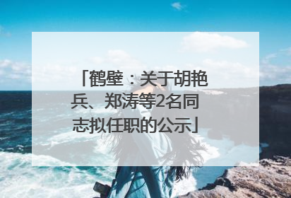 鹤壁：关于胡艳兵、郑涛等2名同志拟任职的公示