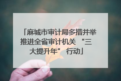 麻城市审计局多措并举推进全省审计机关 “三大提升年” 行动