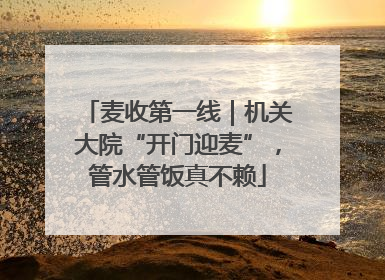 麦收第一线｜机关大院“开门迎麦”，管水管饭真不赖