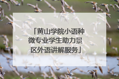 黄山学院小语种微专业学生助力景区外语讲解服务