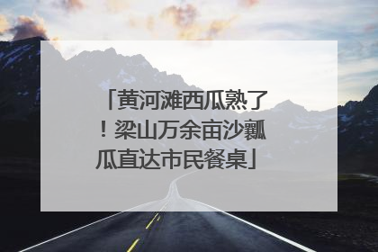 黄河滩西瓜熟了！梁山万余亩沙瓤瓜直达市民餐桌