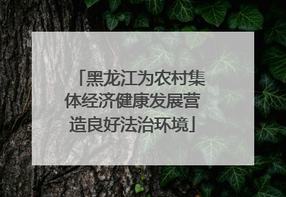 黑龙江为农村集体经济健康发展营造良好法治环境