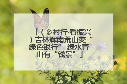 （乡村行·看振兴）吉林辉南荒山变“绿色银行” 绿水青山有“钱景”