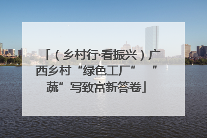 （乡村行·看振兴）广西乡村“绿色工厂” “蔬”写致富新答卷