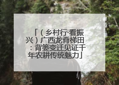 （乡村行·看振兴）广西龙脊梯田：背篓变迁见证千年农耕传统魅力