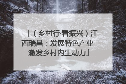 （乡村行·看振兴）江西瑞昌：发展特色产业 激发乡村内生动力