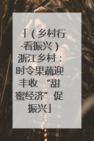 （乡村行·看振兴）浙江乡村：时令果蔬迎丰收 “甜蜜经济”促振兴