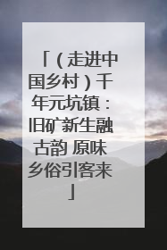 （走进中国乡村）千年元坑镇：旧矿新生融古韵 原味乡俗引客来