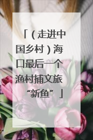 （走进中国乡村）海口最后一个渔村捕文旅“新鱼”