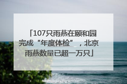 107只雨燕在颐和园完成“年度体检”，北京雨燕数量已超一万只