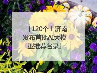 120个！济南发布首批AI大模型推荐名录