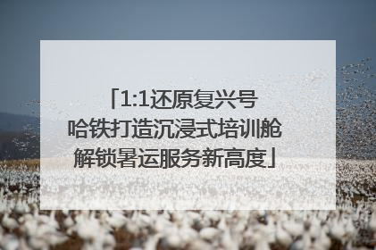 1:1还原复兴号 哈铁打造沉浸式培训舱解锁暑运服务新高度