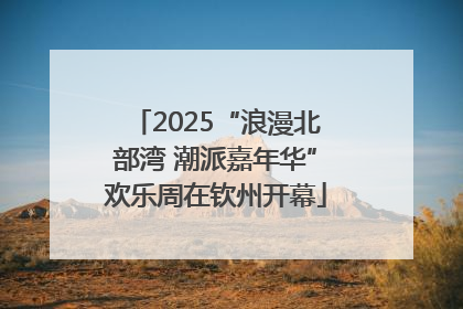 2025“浪漫北部湾 潮派嘉年华”欢乐周在钦州开幕