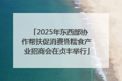 2025年东西部协作帮扶促消费暨糯食产业招商会在贞丰举行