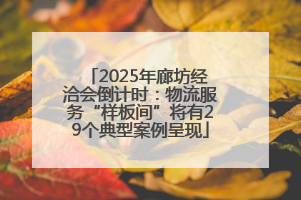 2025年廊坊经洽会倒计时：物流服务“样板间”将有29个典型案例呈现