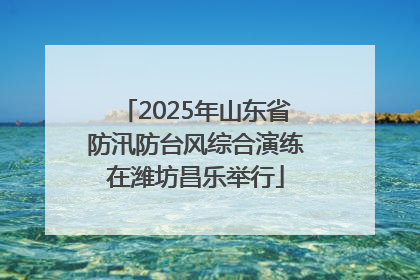 2025年山东省防汛防台风综合演练在潍坊昌乐举行