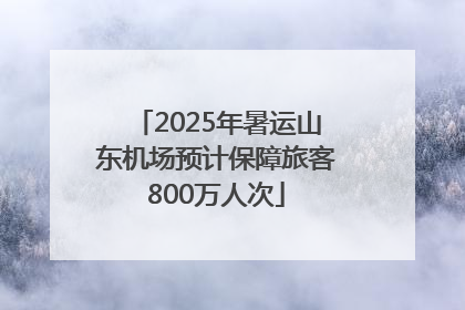 2025年暑运山东机场预计保障旅客800万人次