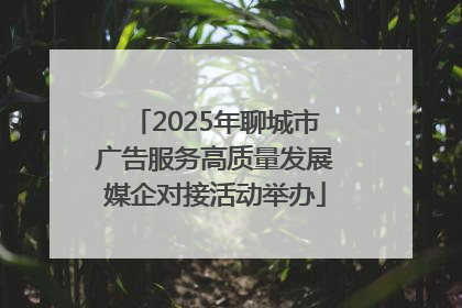 2025年聊城市广告服务高质量发展媒企对接活动举办