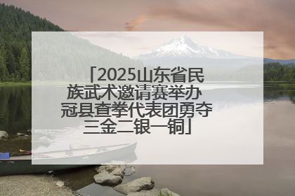 2025山东省民族武术邀请赛举办 冠县查拳代表团勇夺三金二银一铜
